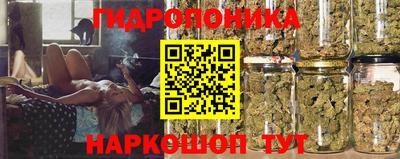 PSILOCYBIN Абинск