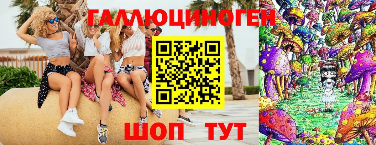 где можно купить наркотик  Галлюциногенные грибы Psilocybine cubensis  Вход с VPN  Россия 