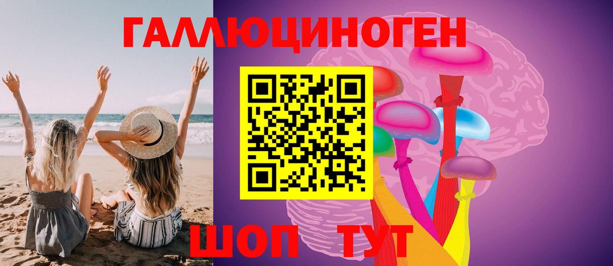 Галлюциногенные грибы Psilocybe Россия